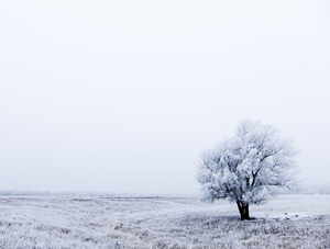 Revue des marchés - 24 février 26