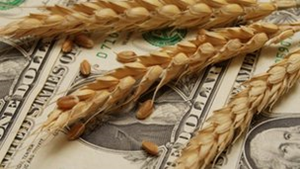 Revue des marchés - 25 février 26