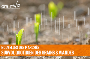 Revue des marchés - 16 mai 25