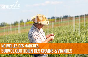 Revue des marchés - 10 août 26