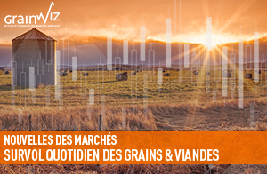 Revue des marchés - 24 août 26