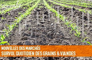 Revue des marchés - 18 mai 26