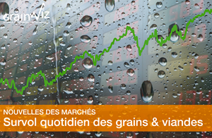 Revue des marchés - 29 juillet 26