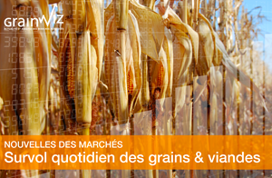 Revue des marché - 1er octobre 26