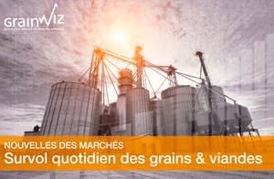 Revue des marchés - 8 juillet 26