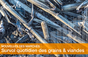 Revue des marchés - 6 avril 26