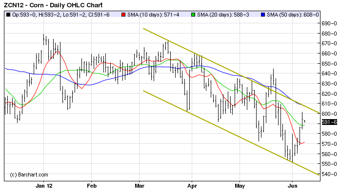 corn tech MT 7 juin 12